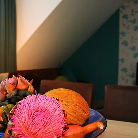 Apartment Gaestewohnung Monchengladbach